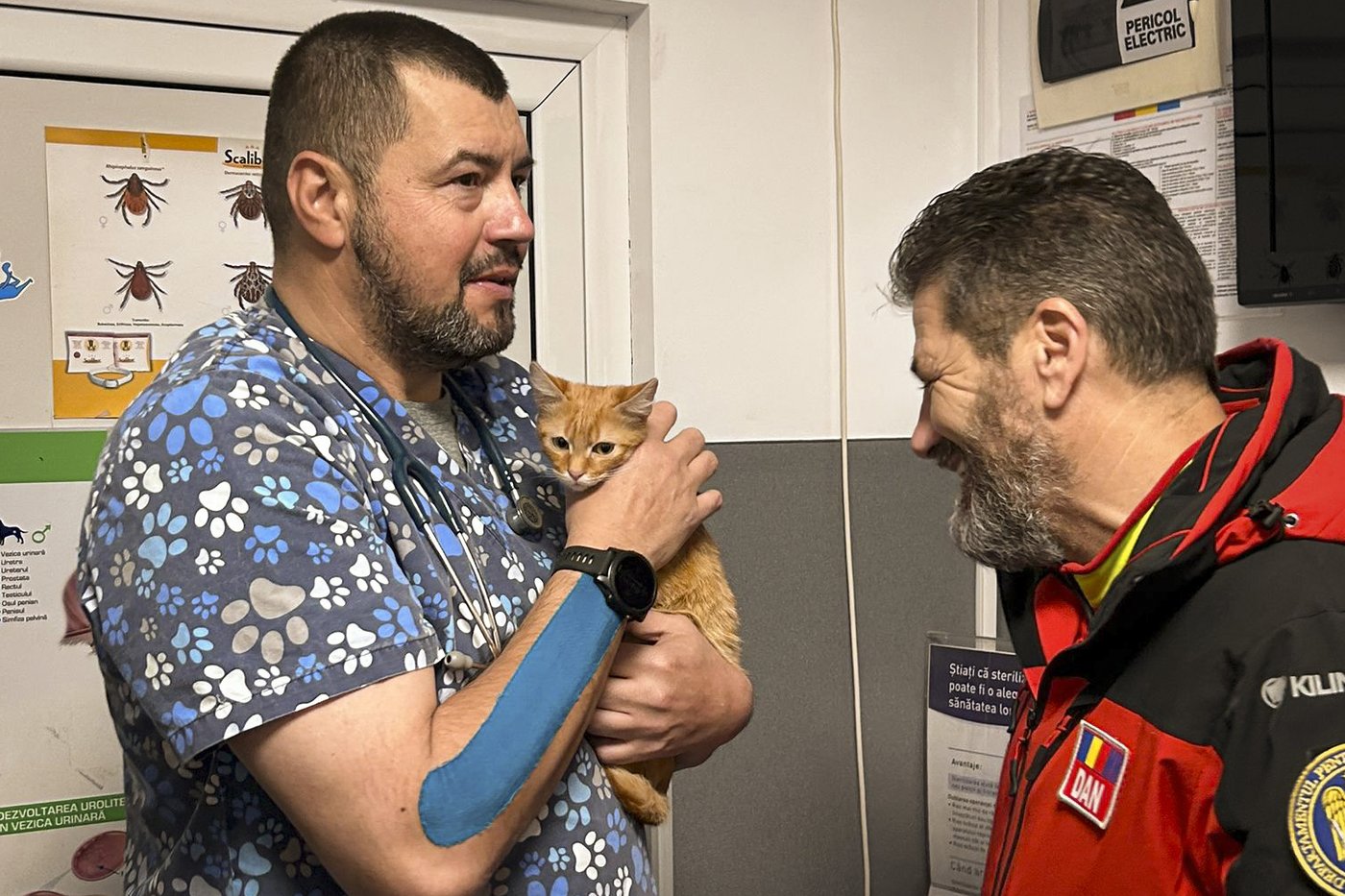 Ukrainian man fleeing war rescued with his kitten on a perilous journey through Romanian mountains | iNFOnews.ca Ukrainian man fleeing war rescued with his kitten on a perilous journey through Romanian mountains | iNFOnews.ca