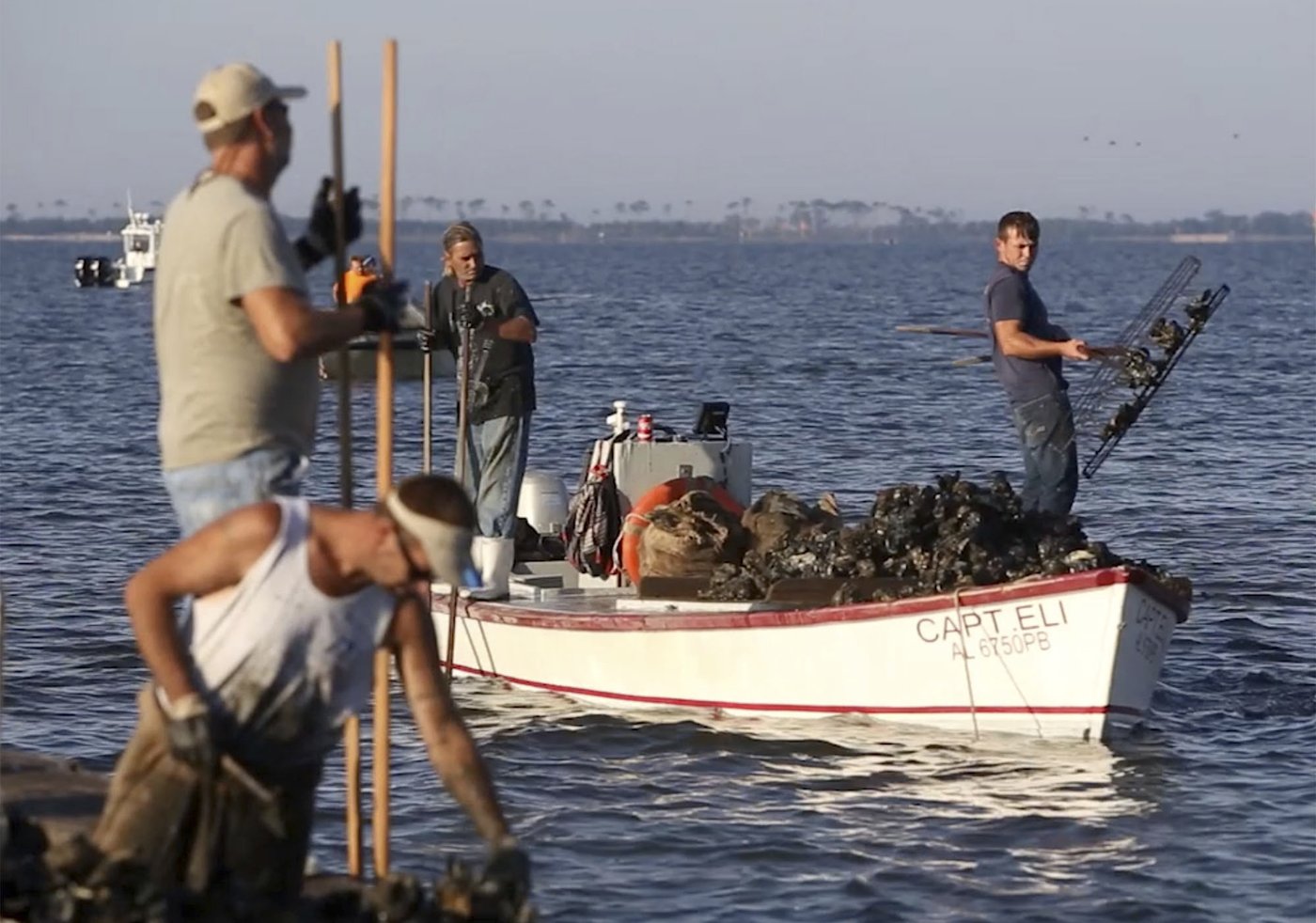 Hard-luck Mississippi Gulf Coast will have its first oyster season since 2018 | iNFOnews.ca