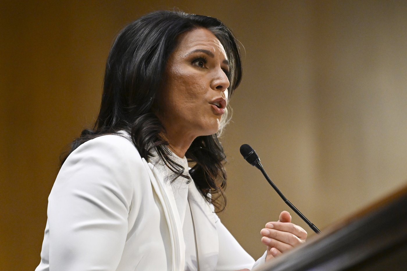 Tulsi Gabbard, Trump's pick to oversee US spy agencies, grilled about Snowden, Syria and Russia | iNFOnews.ca Tulsi Gabbard, Trump's pick to oversee US spy agencies, grilled about Snowden, Syria and Russia | iNFOnews.ca