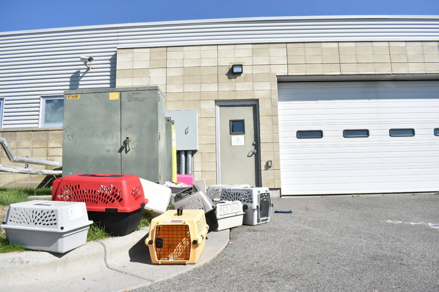Meth burn by FBI smokes out Montana animal shelter | iNFOnews.ca Meth burn by FBI smokes out Montana animal shelter | iNFOnews.ca