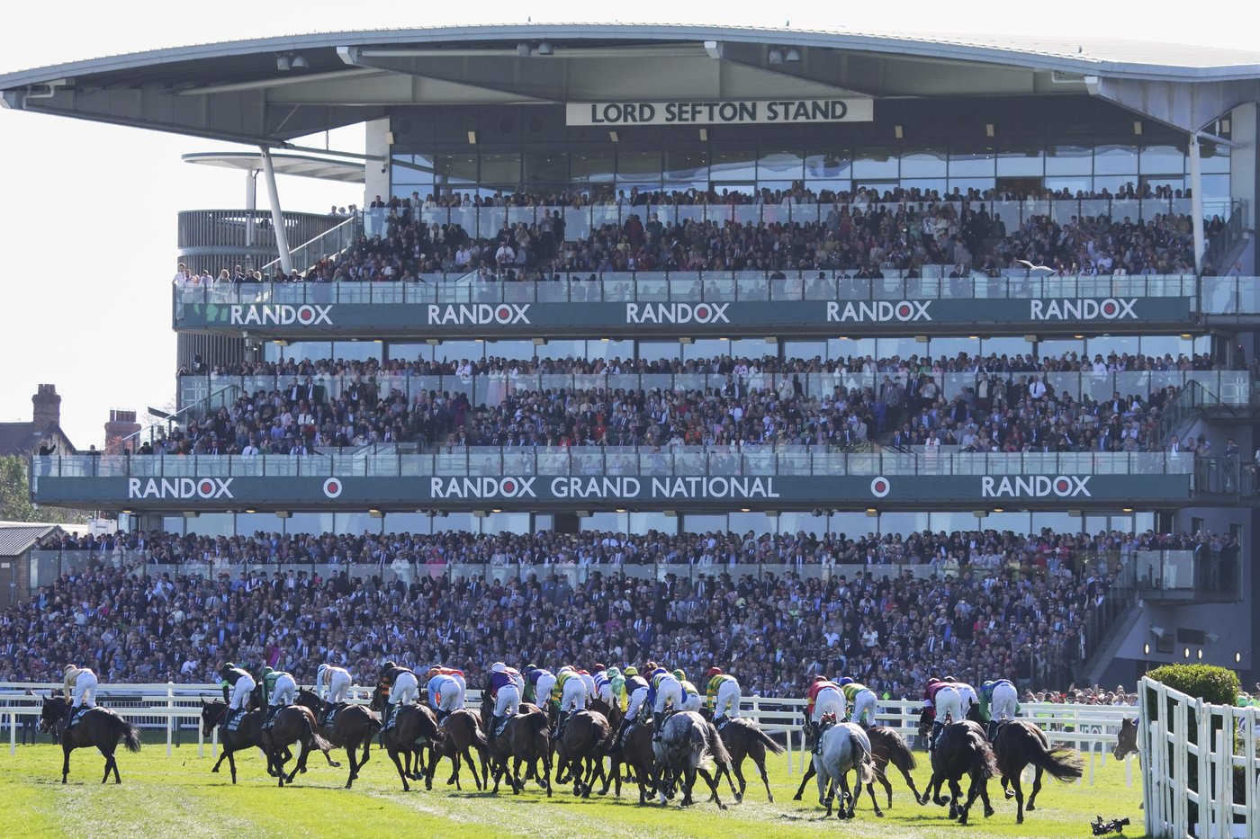 Grand National horse Celebre d'Allen died after developing respiratory infection | iNFOnews.ca
