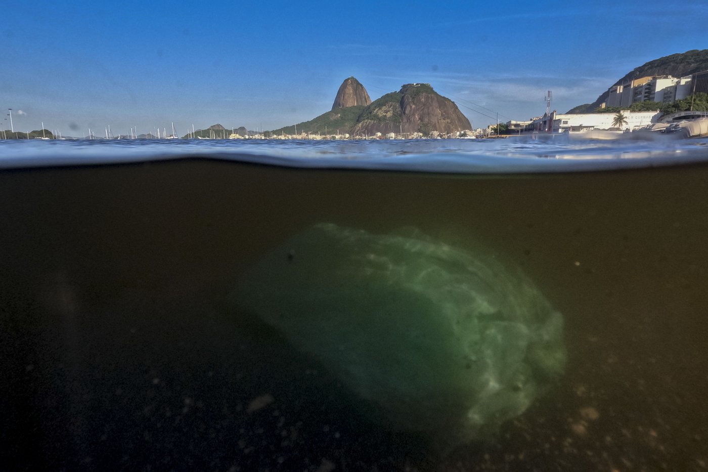 PHOTO COLLECTION: Plastic Pollution Treaty | iNFOnews.ca