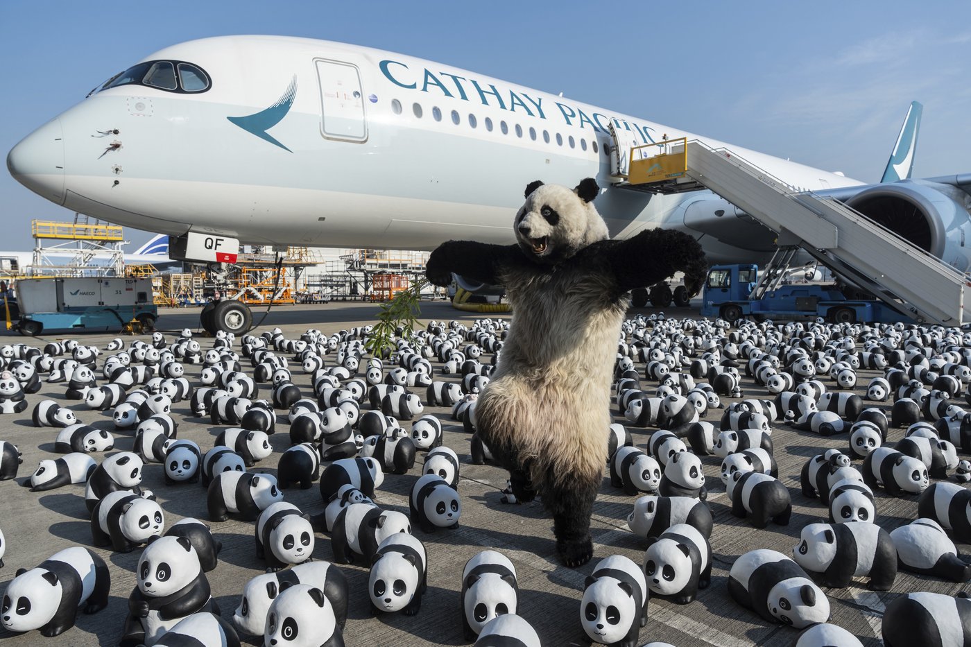 Hong Kong launches panda sculpture tour as the city hopes the bear craze boosts tourism | iNFOnews.ca