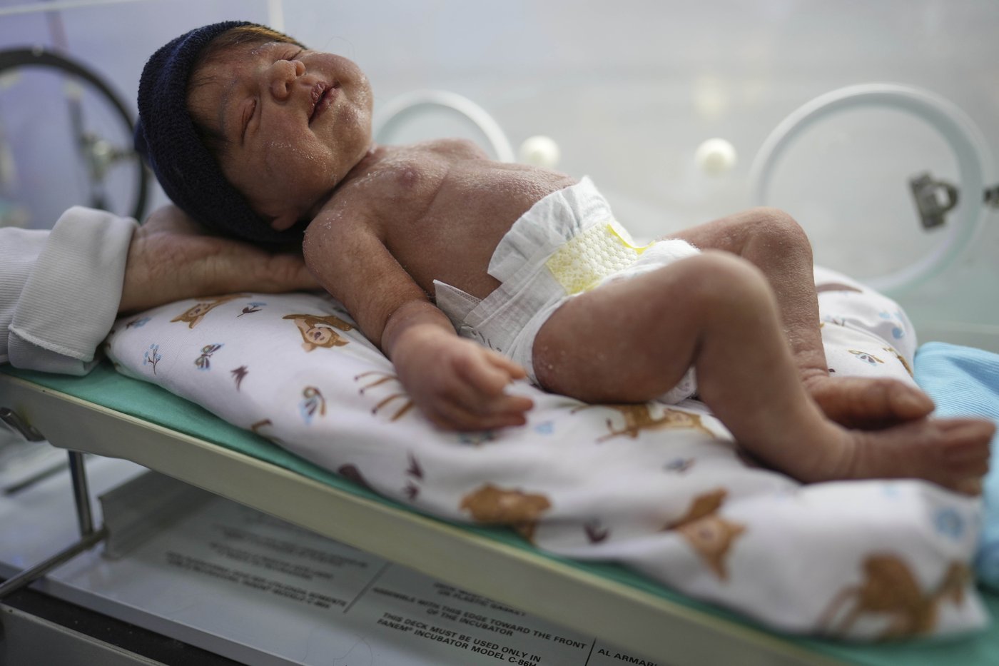 Brazil's lifelike doll craze goes from shopping malls to state legislatures | iNFOnews.ca