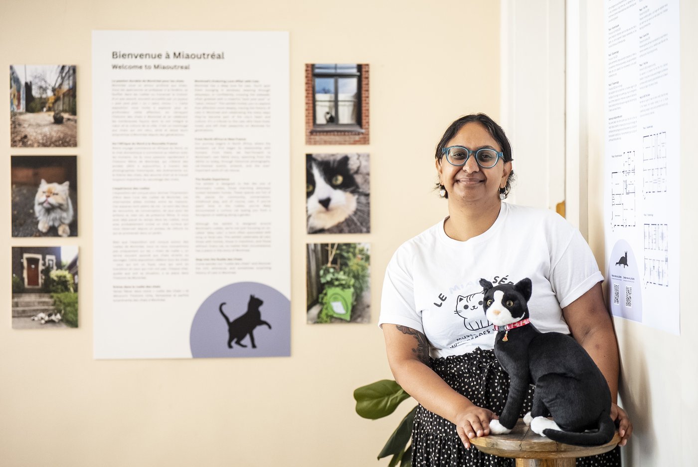 Montreal's Le Miaousée wants to become Canada's first permanent cat museum | iNFOnews.ca Montreal's Le Miaousée wants to become Canada's first permanent cat museum | iNFOnews.ca