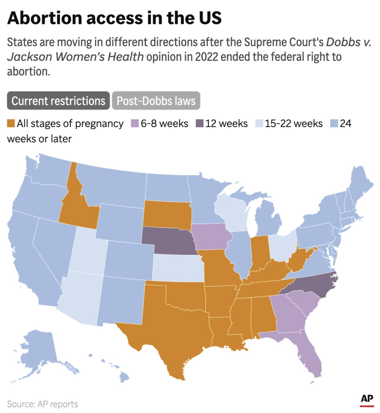 Georgia Supreme Court restores near-ban on abortions while state appeals | iNFOnews.ca