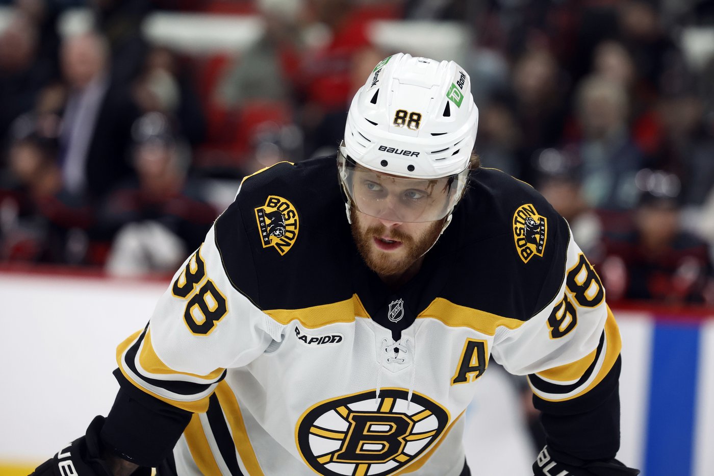 Boston Bruins aim for a comeback with new coach Marco Sturm | iNFOnews.ca Boston Bruins aim for a comeback with new coach Marco Sturm | iNFOnews.ca