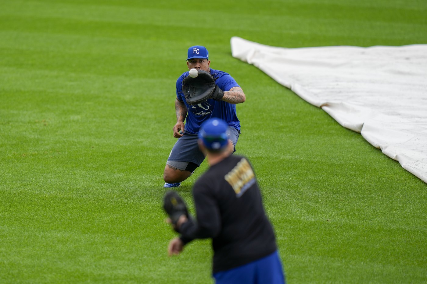 Salvador Perez is back in the MLB playoffs with the Royals and ready to face the Orioles | iNFOnews.ca Salvador Perez is back in the MLB playoffs with the Royals and ready to face the Orioles | iNFOnews.ca