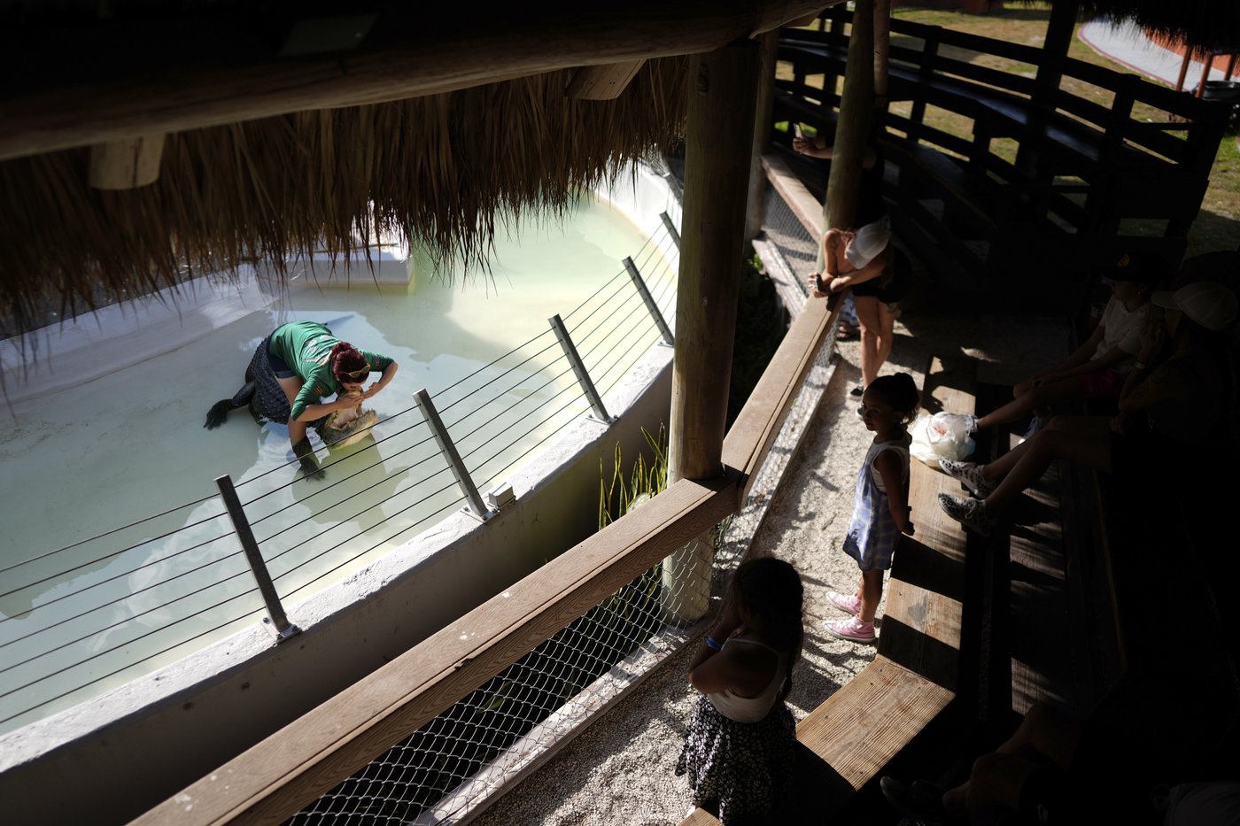 In Florida, the Miccosukee fight to protect the Everglades in the face of climate change | iNFOnews.ca