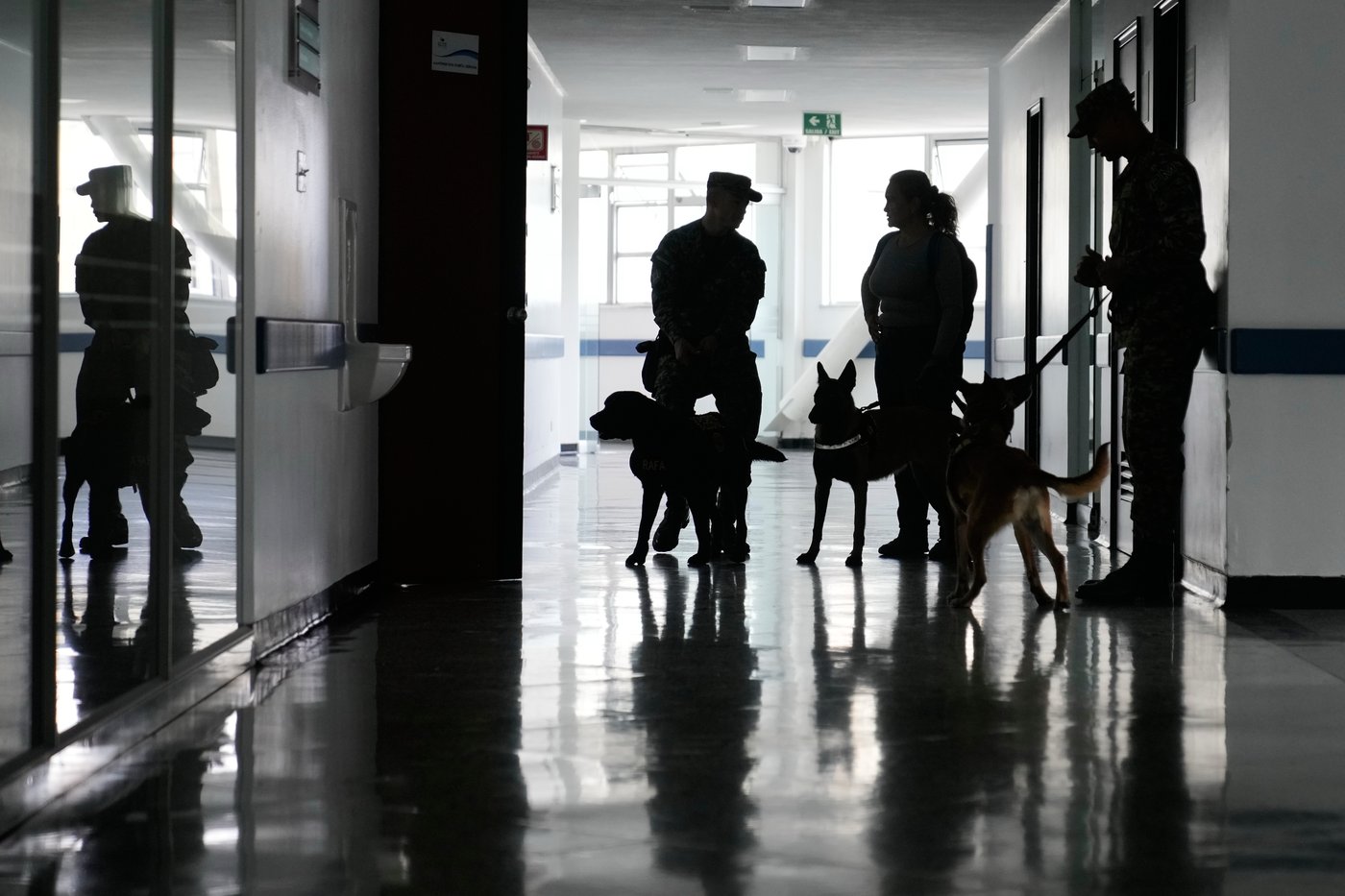 Colombian soldiers find solace in 'furry force' emotional support dogs | iNFOnews.ca Colombian soldiers find solace in 'furry force' emotional support dogs | iNFOnews.ca