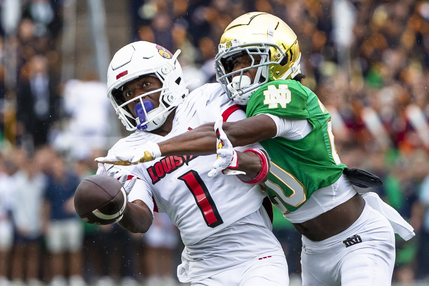 No. 16 Notre Dame holds off No. 15 Louisville comeback for 31-24 victory | iNFOnews.ca No. 16 Notre Dame holds off No. 15 Louisville comeback for 31-24 victory | iNFOnews.ca