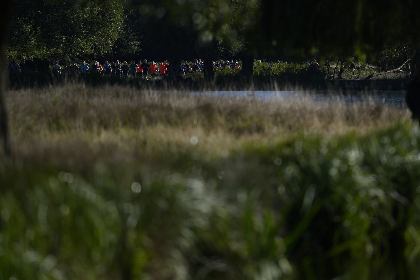 Feel-good parkruns have raced past their humble beginnings and now draw millions for fitness and fun | iNFOnews.ca Feel-good parkruns have raced past their humble beginnings and now draw millions for fitness and fun | iNFOnews.ca