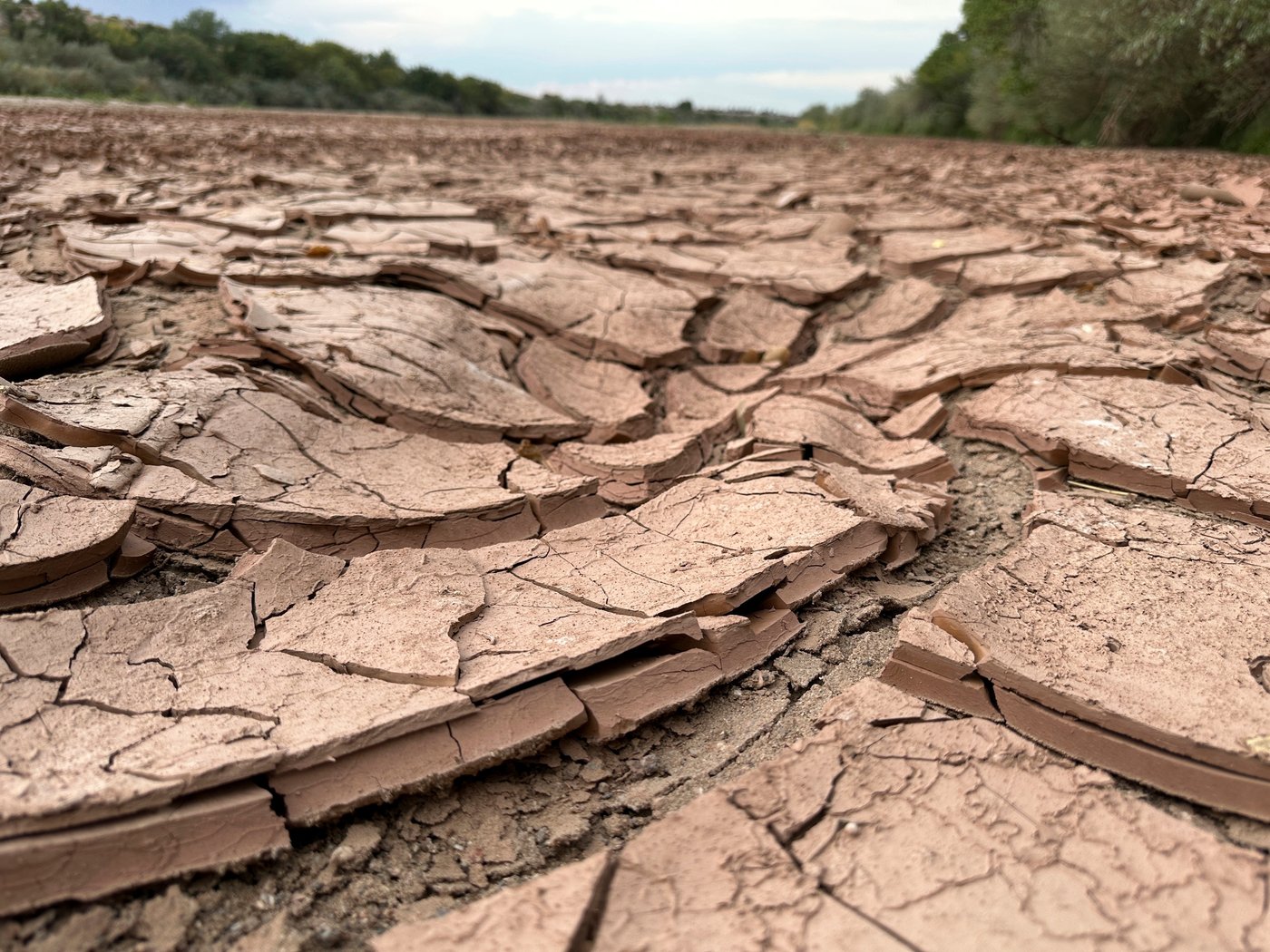 A drying-up Rio Grande basin threatens water security on both sides of the border | iNFOnews.ca