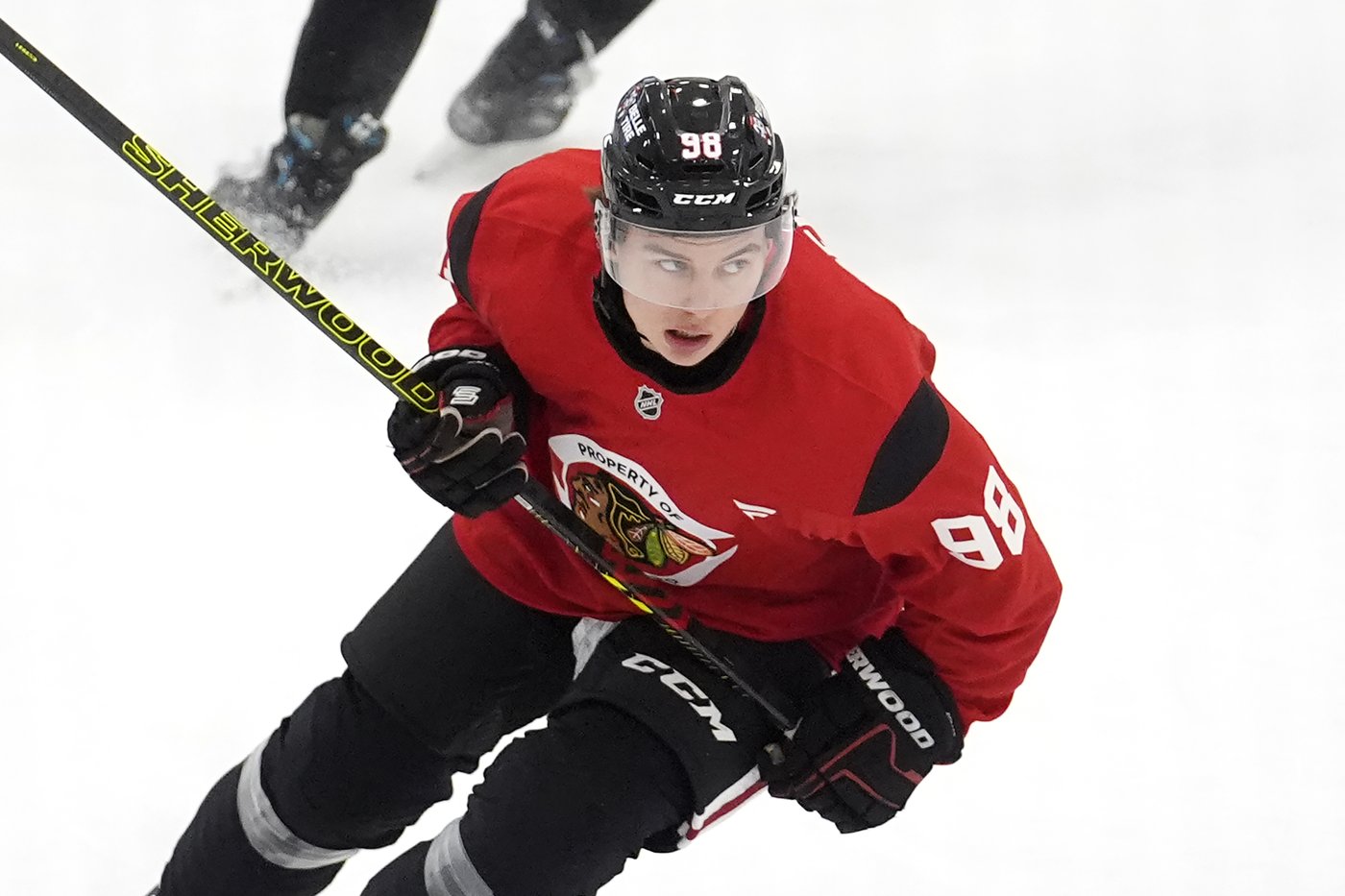 Chicago Blackhawks surround Connor Bedard with more offensive talent for his second NHL season | iNFOnews.ca Chicago Blackhawks surround Connor Bedard with more offensive talent for his second NHL season | iNFOnews.ca