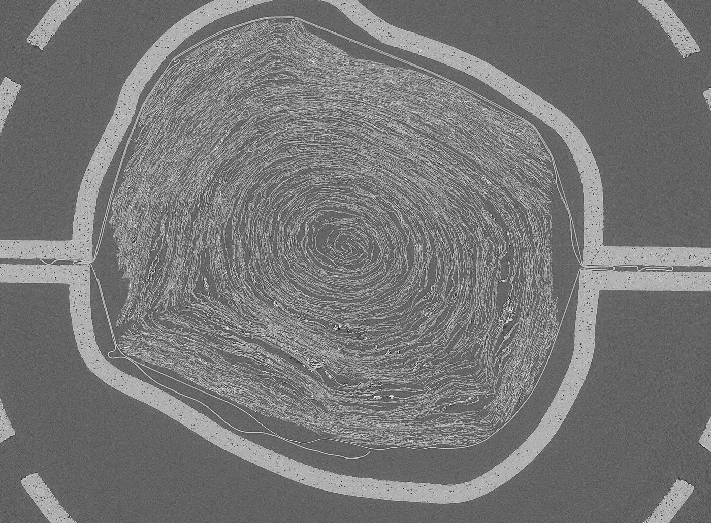 AI and scientists unite to decipher old scrolls charred by the Vesuvius volcano | iNFOnews.ca