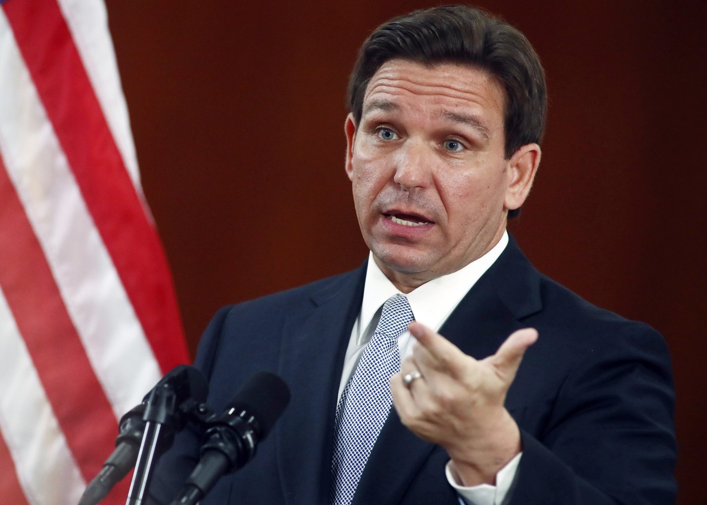 DeSantis appoints conservative think tank members to university board | iNFOnews.ca DeSantis appoints conservative think tank members to university board | iNFOnews.ca