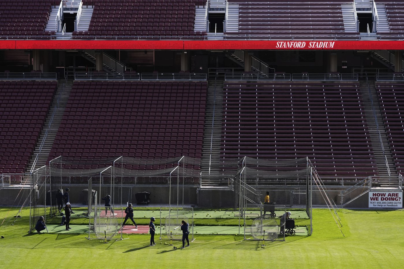 Stanford softball chases attendance record at school's football stadium | iNFOnews.ca Stanford softball chases attendance record at school's football stadium | iNFOnews.ca