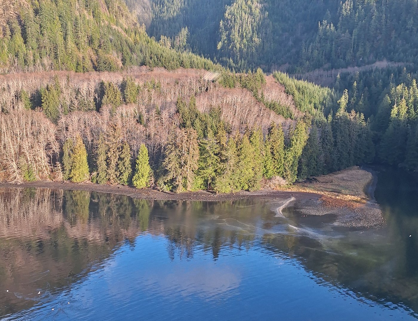 'Human error' caused spill of up to 8,000 litres of fuel off B.C.'s coast: government | iNFOnews.ca