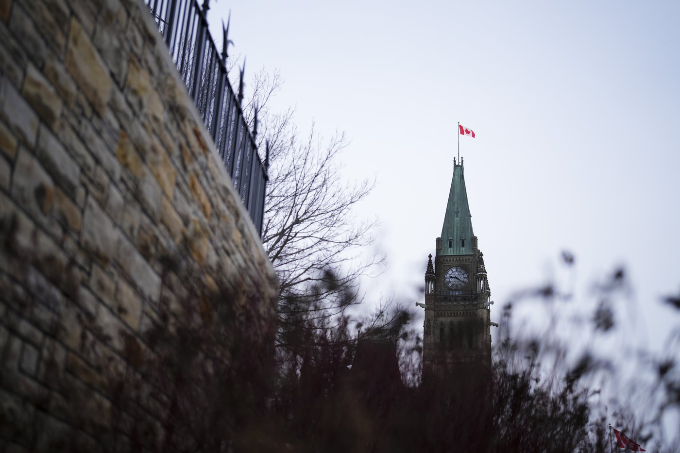 Tory organizer says Liberal leadership contest rules ensure a Freeland-Carney race | iNFOnews.ca Tory organizer says Liberal leadership contest rules ensure a Freeland-Carney race | iNFOnews.ca