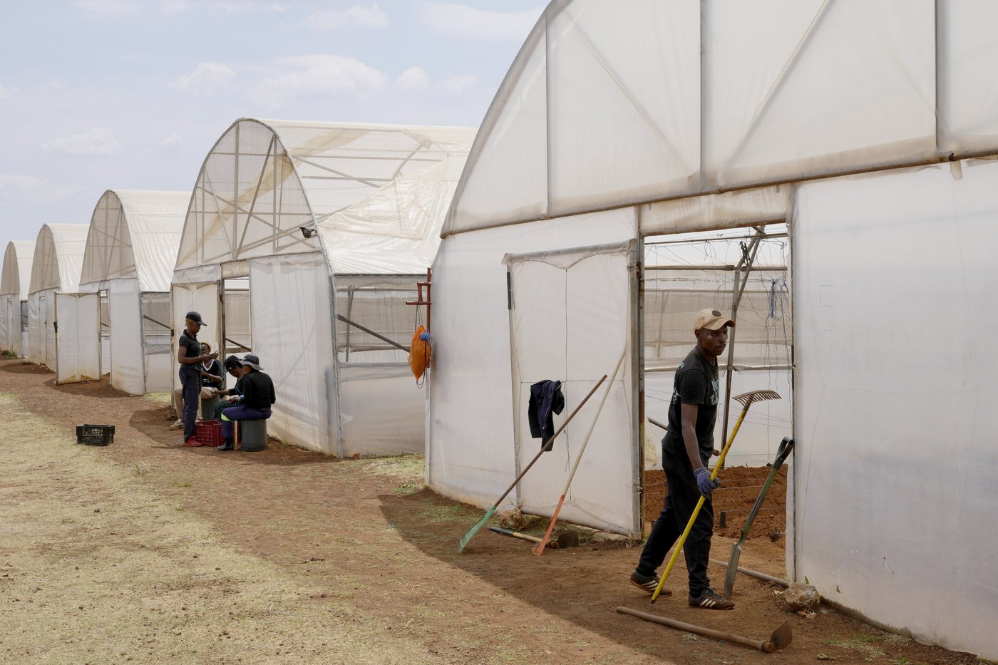 A farming project in South Africa is helping deaf people build skills and find jobs | iNFOnews.ca A farming project in South Africa is helping deaf people build skills and find jobs | iNFOnews.ca