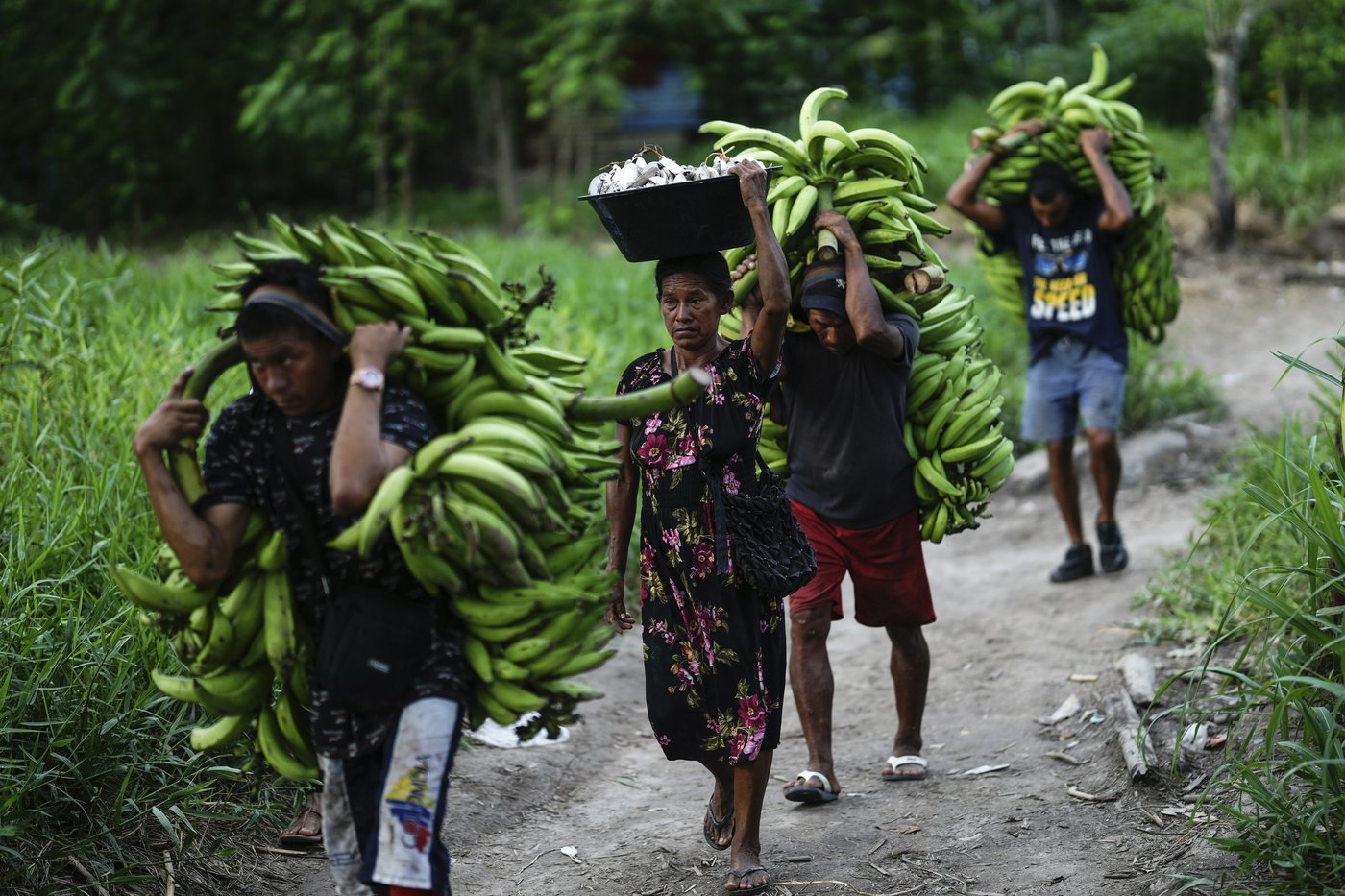 In Colombia, Amazon River's extreme drought falls hard on Indigenous communities | iNFOnews.ca In Colombia, Amazon River's extreme drought falls hard on Indigenous communities | iNFOnews.ca