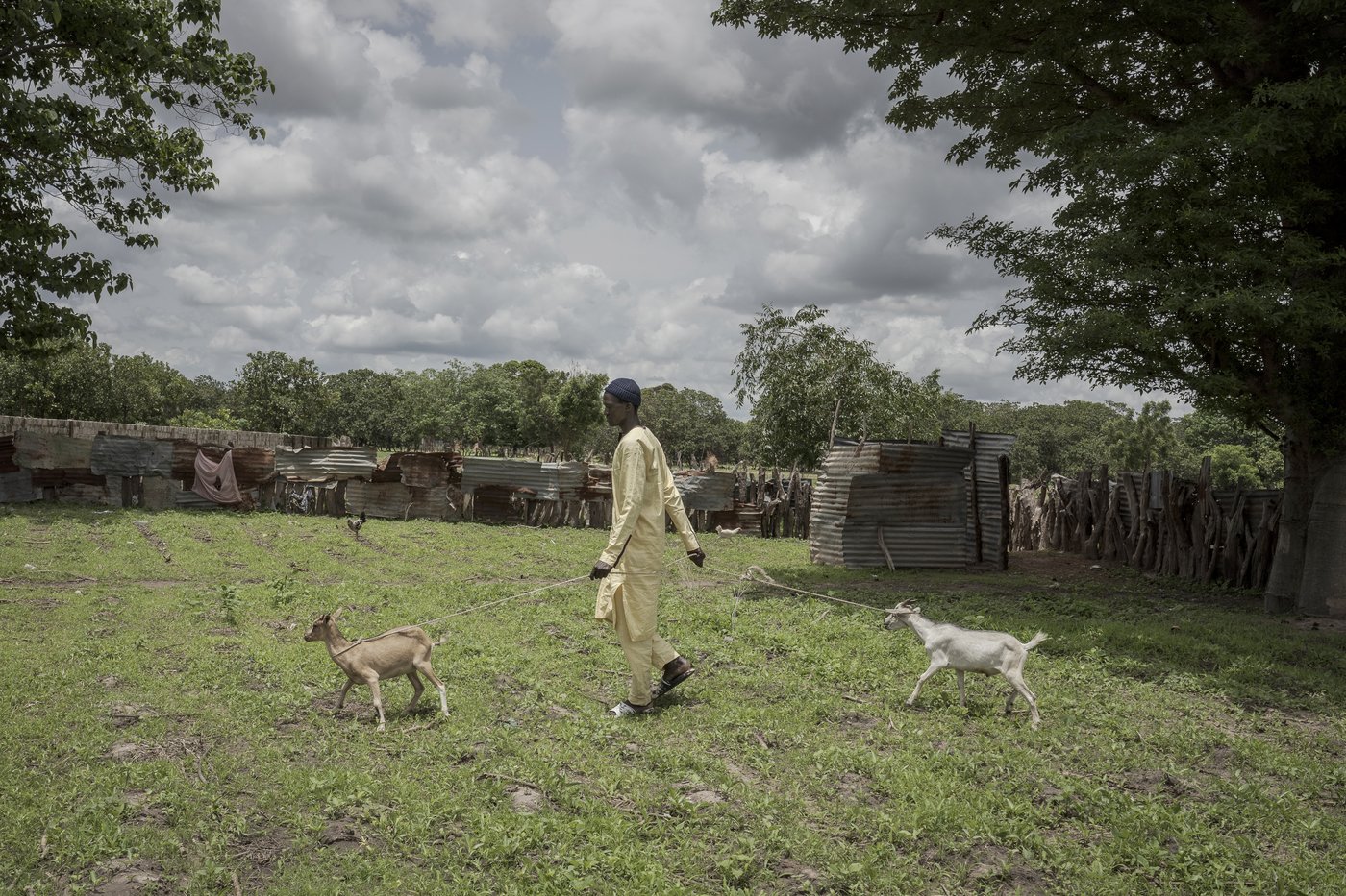 Money Gambians send home from Europe is a lifeline for their families but the sacrifices take a toll | iNFOnews.ca Money Gambians send home from Europe is a lifeline for their families but the sacrifices take a toll | iNFOnews.ca