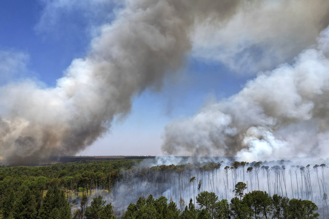 'Leo will follow Francis.' Amazon Catholics hope the new pope will protect the rain forest | iNFOnews.ca 'Leo will follow Francis.' Amazon Catholics hope the new pope will protect the rain forest | iNFOnews.ca