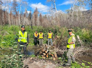 Five young people in high visibility vests pose for the camera in front of a beaver dam made of logs.