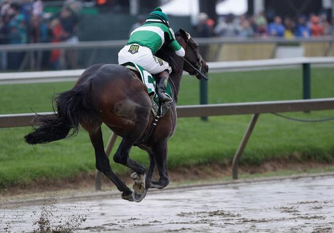 Preakness win behind them, Desormeauxs prepare for Belmont | iNFOnews.ca