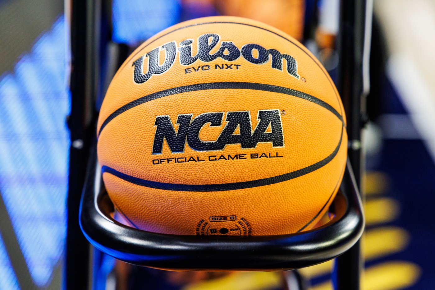 NCAA investigates 13 former basketball players for sports betting violations | iNFOnews.ca