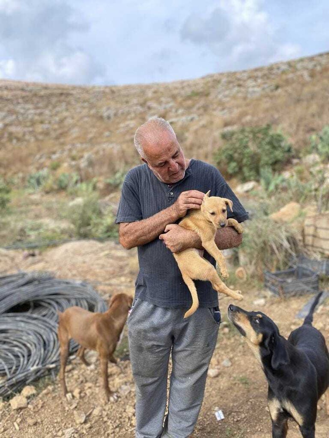 A man in south Lebanon cares for pets left behind as residents flee Israeli strikes | iNFOnews.ca