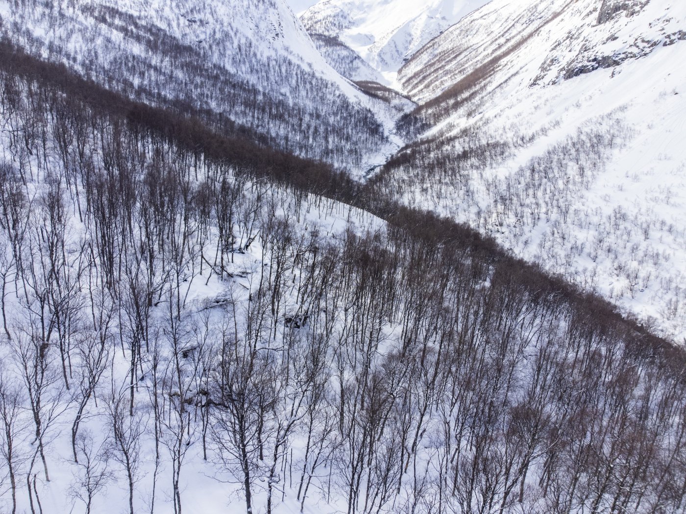 The Osprey's safety issues spiked over five years and caused deaths. Pilots still want to fly it | iNFOnews.ca The Osprey's safety issues spiked over five years and caused deaths. Pilots still want to fly it | iNFOnews.ca