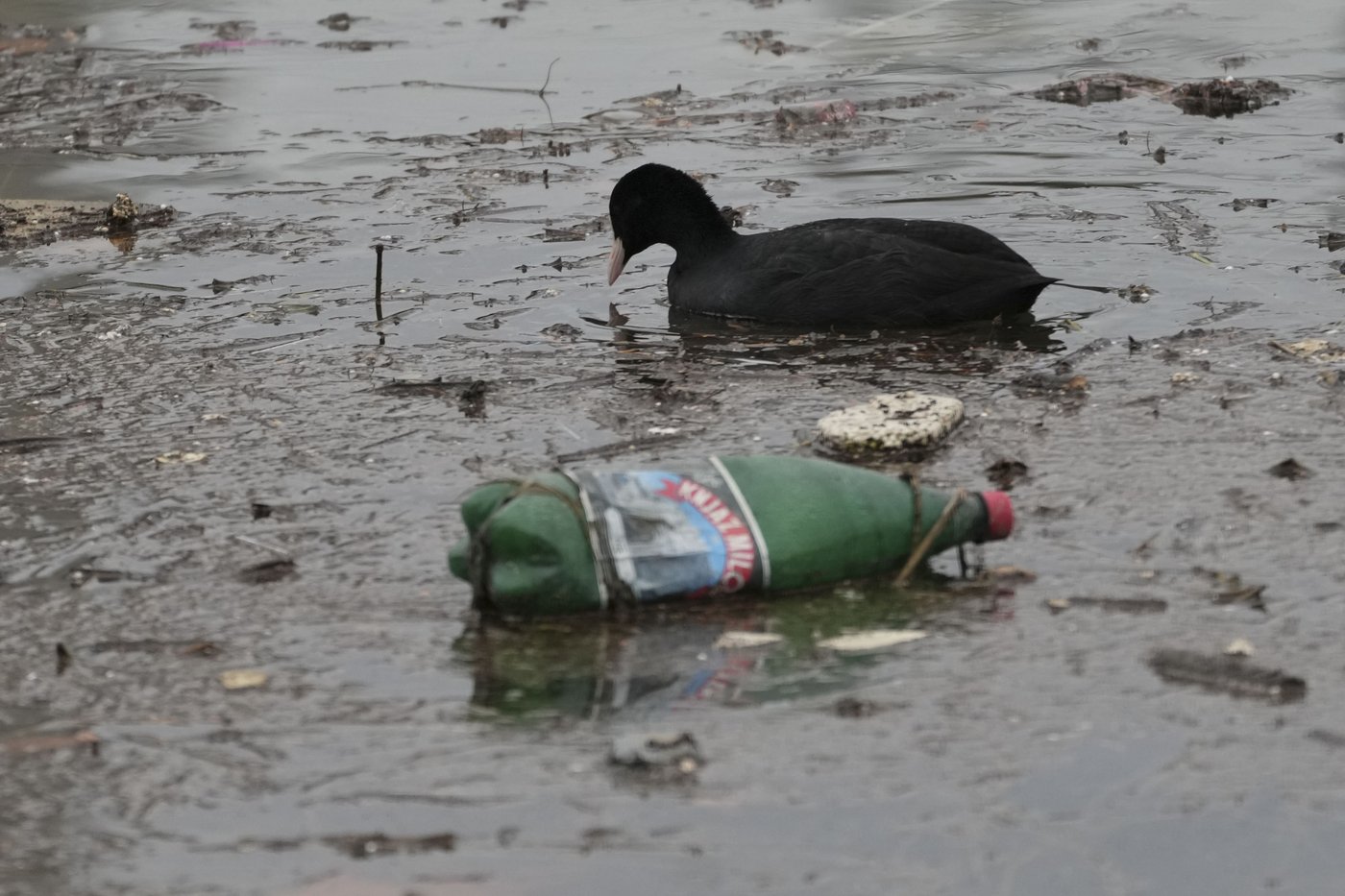 PHOTO COLLECTION: Plastic Pollution Treaty | iNFOnews.ca