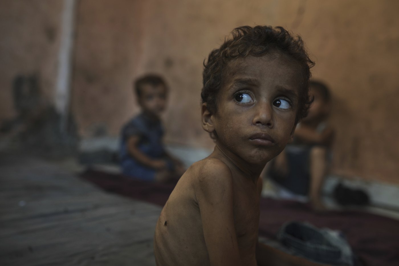 Democrats implore Trump to step up role in addressing suffering and starvation in Gaza | iNFOnews.ca