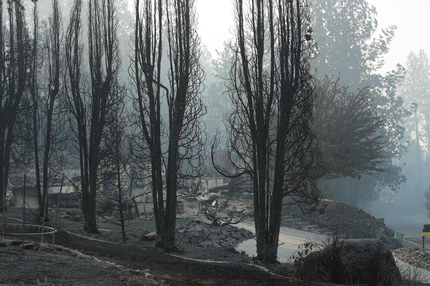 Authorities arrest arson suspect in connection with one of the devastating Spokane wildfires | iNhome