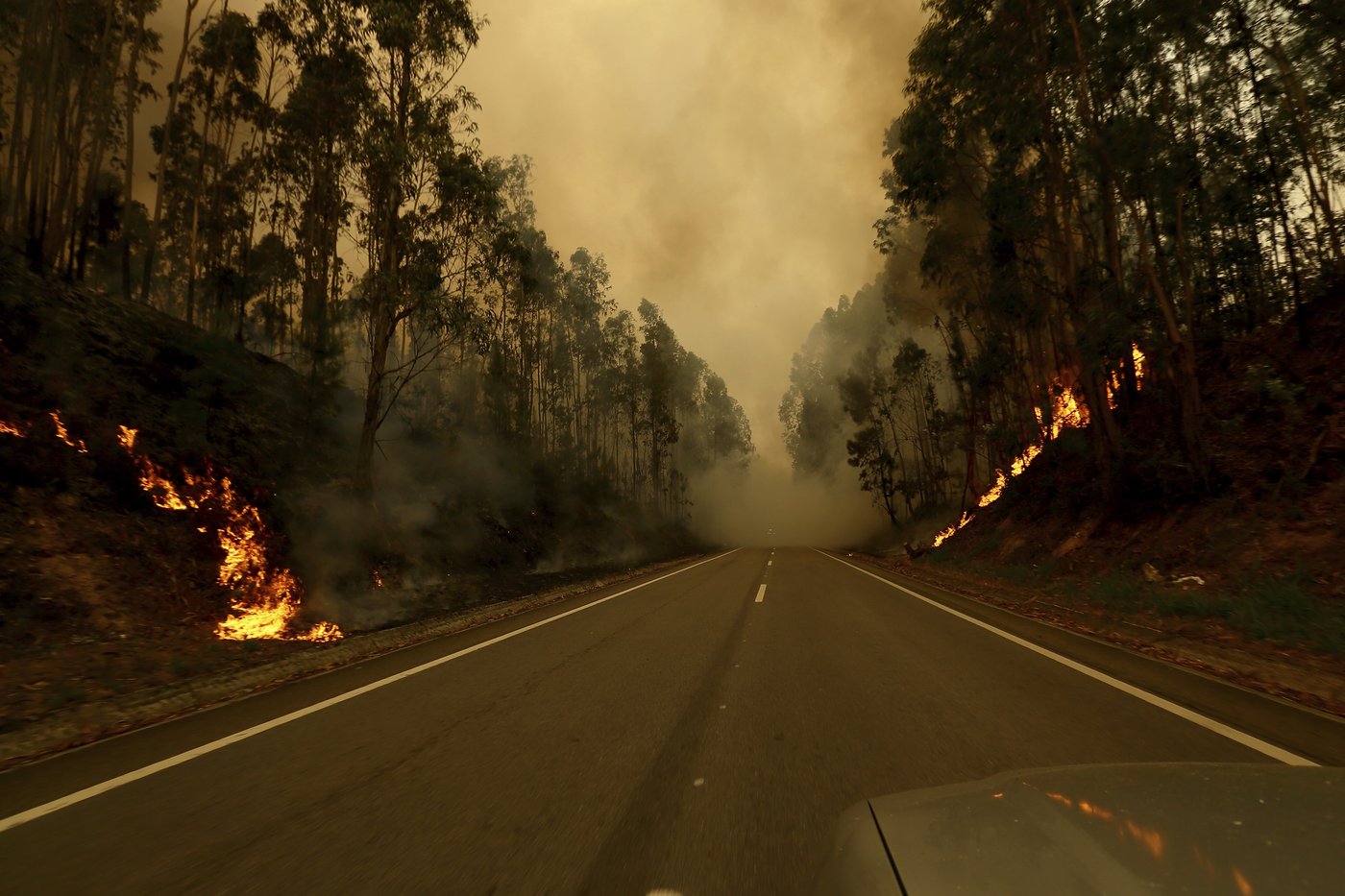 Portugal declares a state of calamity as wildfires rage out of control | iNFOnews.ca Portugal declares a state of calamity as wildfires rage out of control | iNFOnews.ca