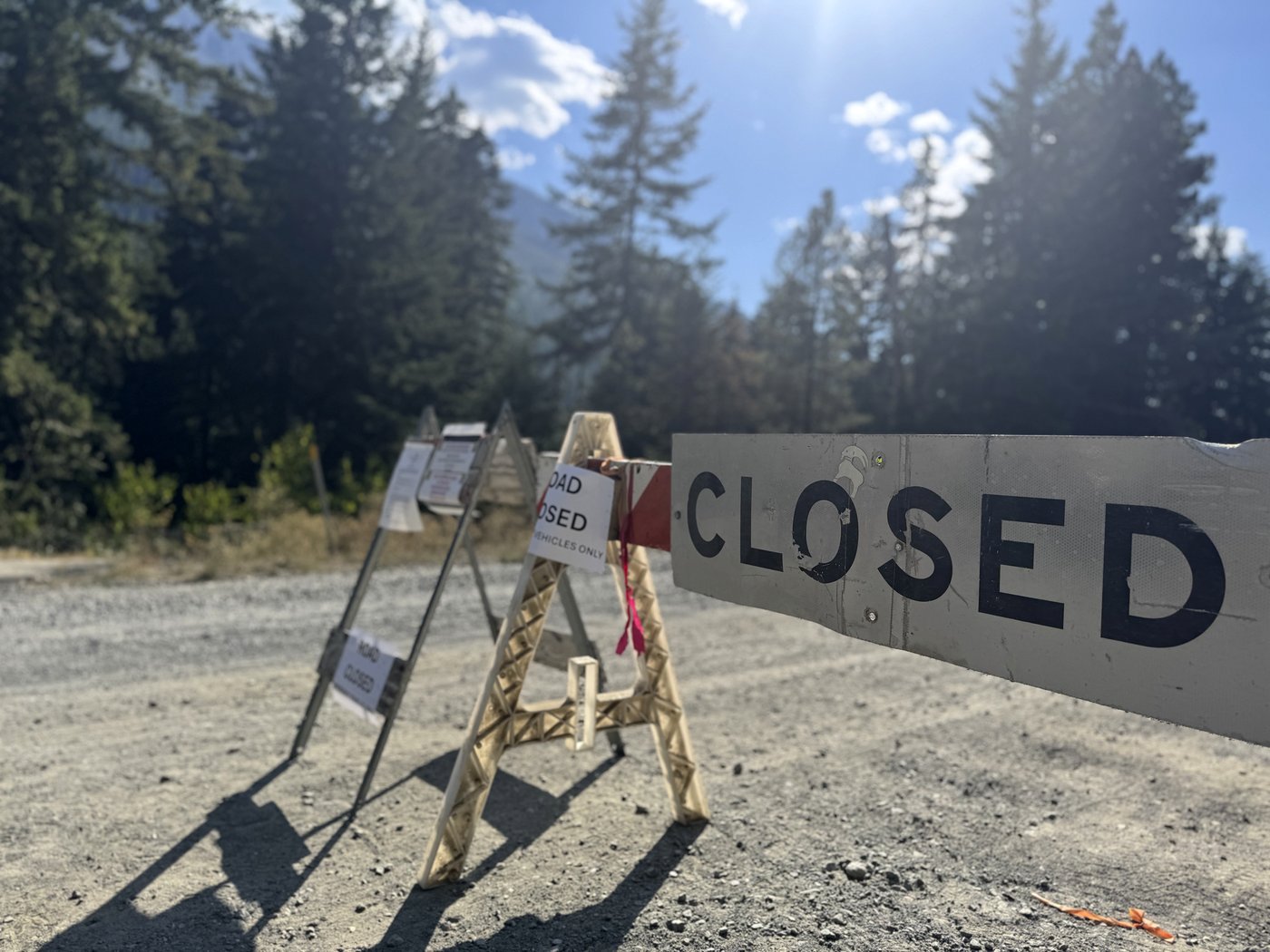 FBI bushwhacks in Washington forest for traces of Travis Decker, wanted in deaths of 3 daughters | iNFOnews.ca FBI bushwhacks in Washington forest for traces of Travis Decker, wanted in deaths of 3 daughters | iNFOnews.ca