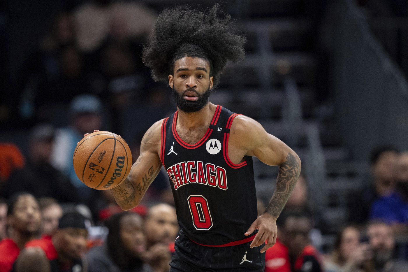 Coby White, Torrey Craig lead the Bulls past the Hornets in overtime, 115-108 | iNFOnews.ca Coby White, Torrey Craig lead the Bulls past the Hornets in overtime, 115-108 | iNFOnews.ca