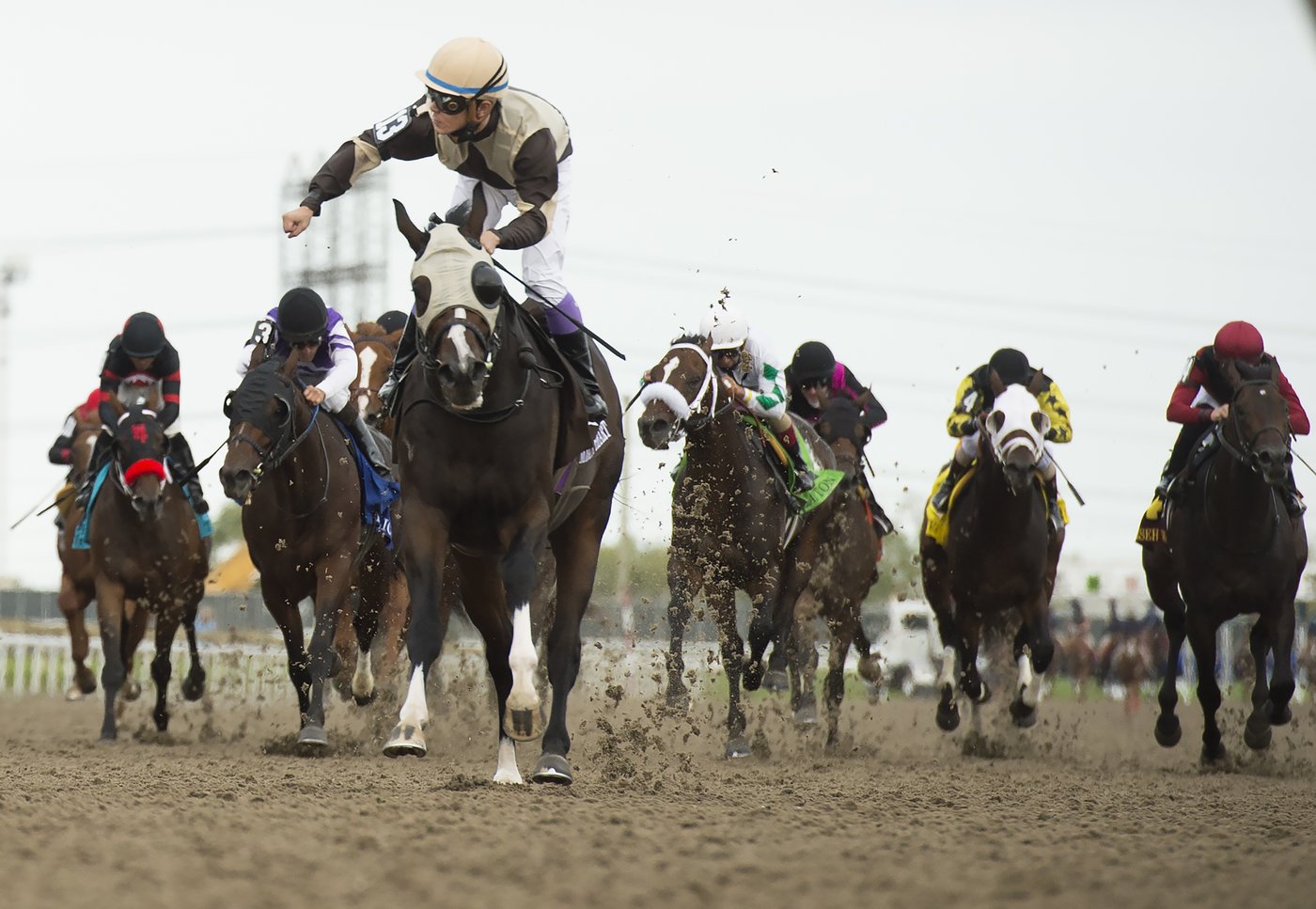 Ontario Lottery and Gaming Corporation players can now bet on live horse races | iNFOnews.ca