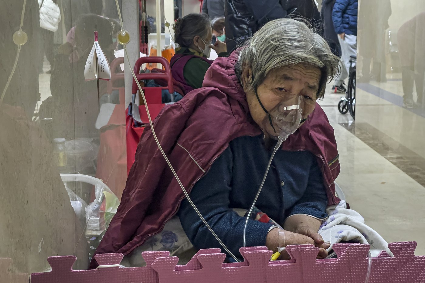 A new genetic analysis of animals in the Wuhan market in 2019 may help find COVID-19's origin | iNFOnews.ca A new genetic analysis of animals in the Wuhan market in 2019 may help find COVID-19's origin | iNFOnews.ca
