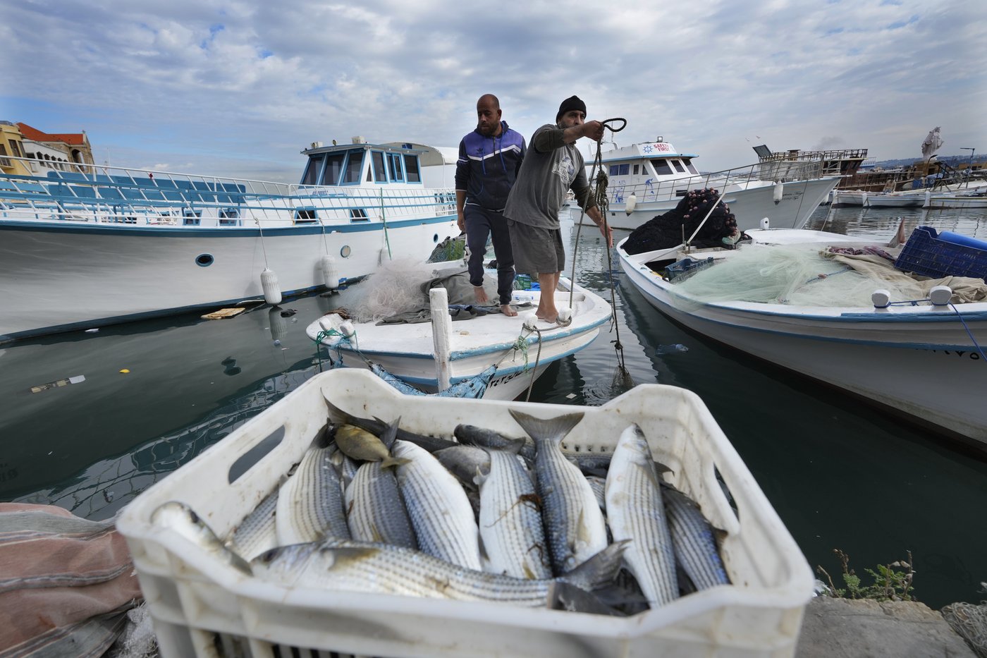 Fishers at a Lebanese port hope ceasefire with Israel means normal life is returning | iNFOnews.ca