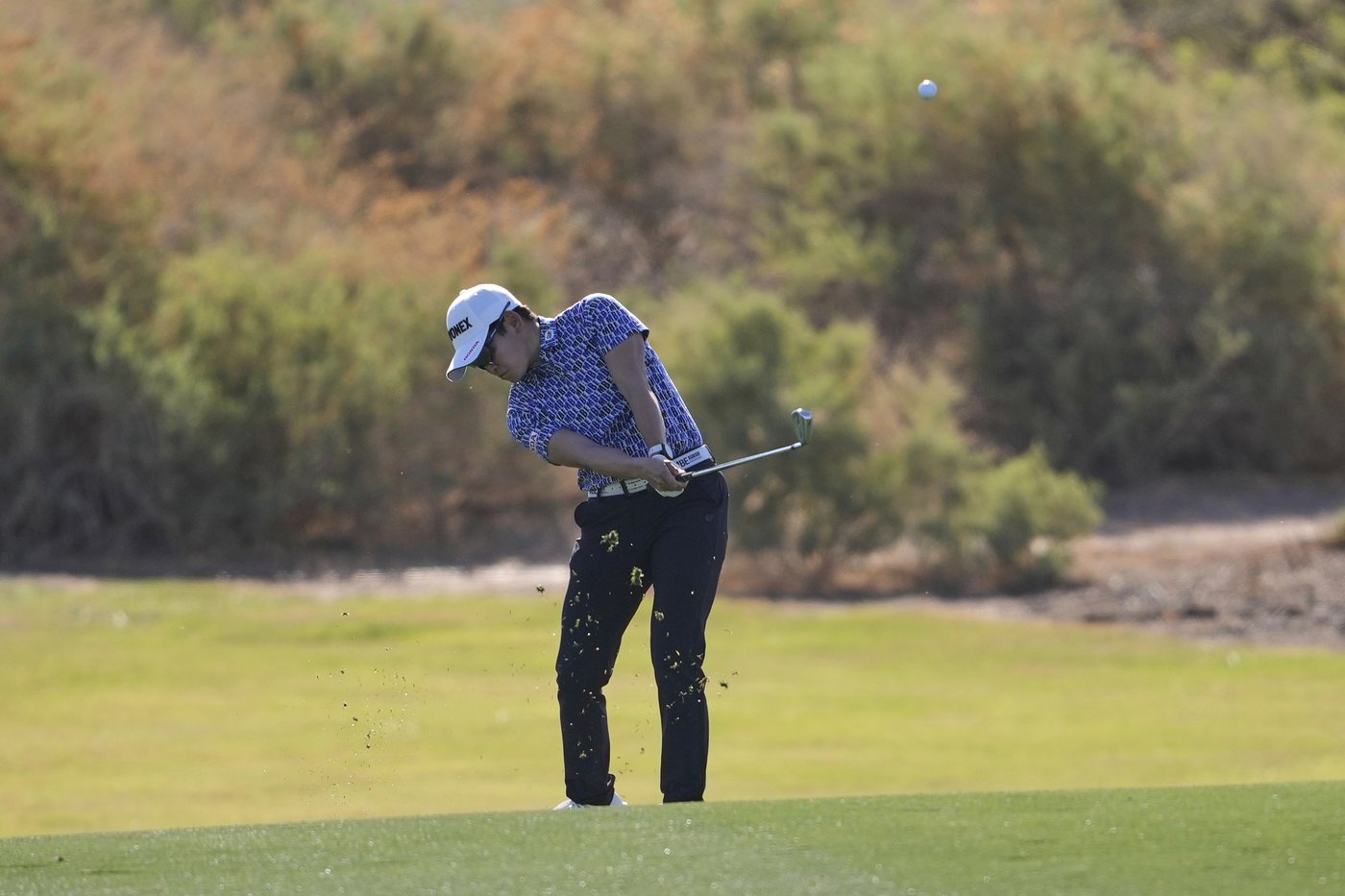 Akie Iwai shoots 64 playing alongside twin sister for share of LPGA Tour lead at El Caballero | iNFOnews.ca Akie Iwai shoots 64 playing alongside twin sister for share of LPGA Tour lead at El Caballero | iNFOnews.ca