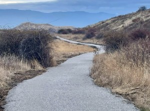 A gravel trail winds through hilly grasslands.