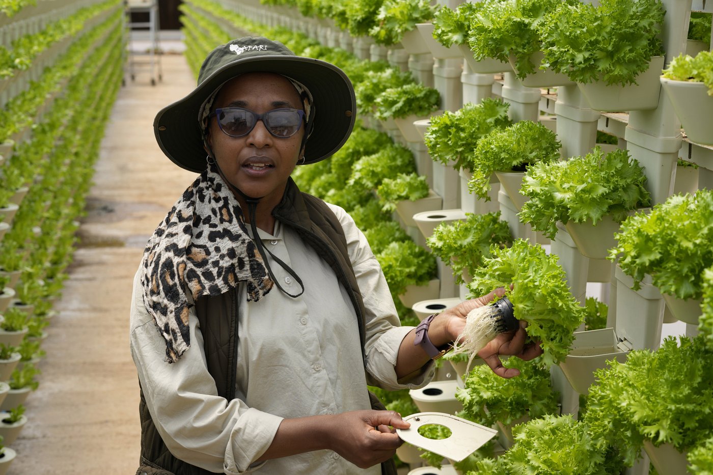 A farming project in South Africa is helping deaf people build skills and find jobs | iNFOnews.ca A farming project in South Africa is helping deaf people build skills and find jobs | iNFOnews.ca