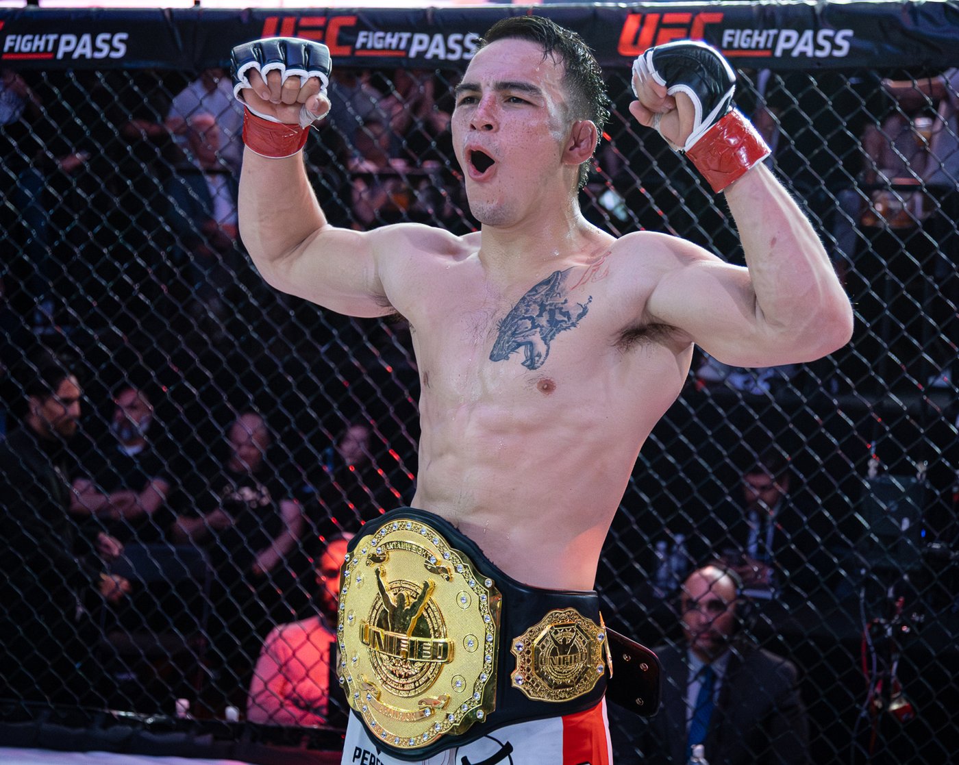 Cody Chovancek looks to defend Unified MMA bantamweight title, make UFC take notice | iNFOnews.ca Cody Chovancek looks to defend Unified MMA bantamweight title, make UFC take notice | iNFOnews.ca
