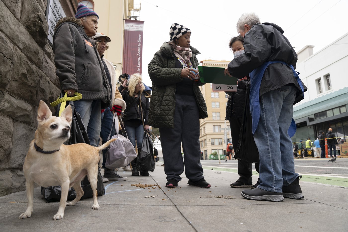Dogs sit and stay to get vaccinated against parvovirus at San Francisco free clinic | iNFOnews.ca Dogs sit and stay to get vaccinated against parvovirus at San Francisco free clinic | iNFOnews.ca