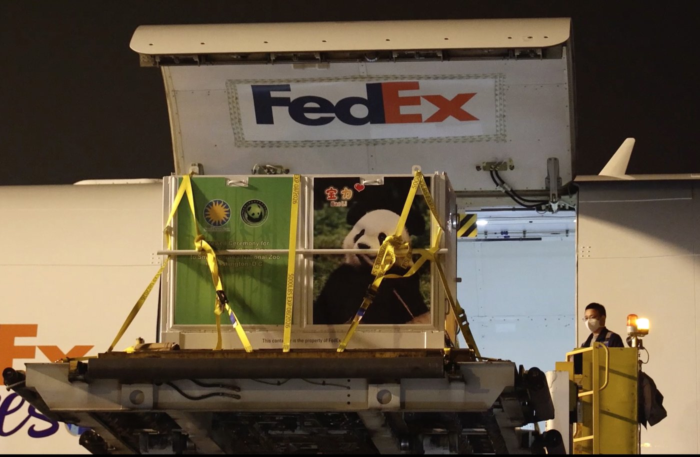 Pandas arrive at National Zoo, but won't be ready for public debut until January | iNFOnews.ca Pandas arrive at National Zoo, but won't be ready for public debut until January | iNFOnews.ca