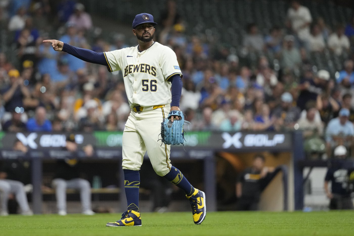 Brewers reliever Grant Anderson goes on injured list with tendinitis in his right ankle | iNFOnews.ca