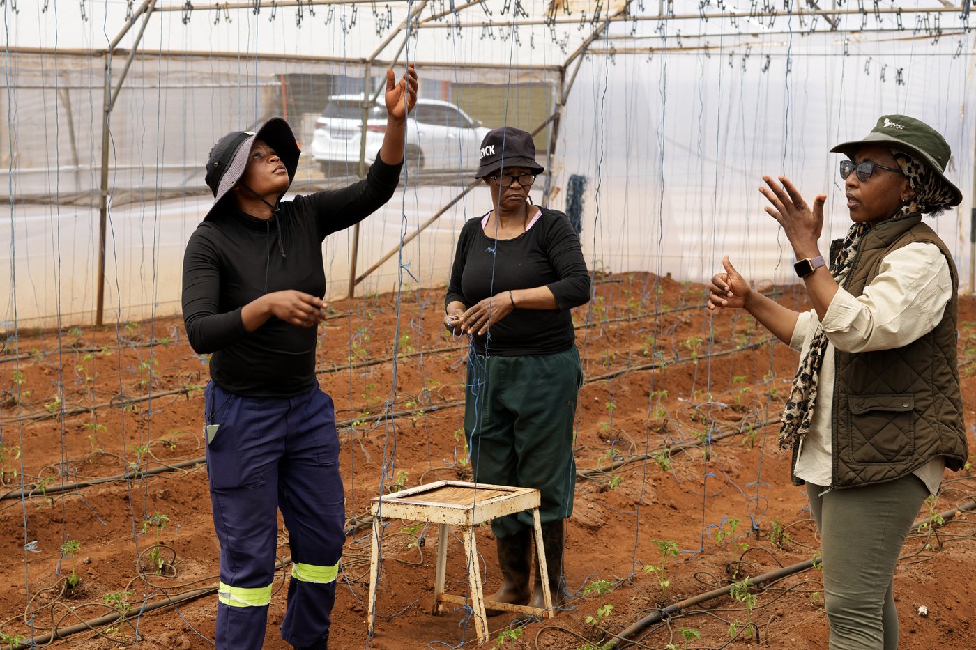 A farming project in South Africa is helping deaf people build skills and find jobs | iNFOnews.ca A farming project in South Africa is helping deaf people build skills and find jobs | iNFOnews.ca