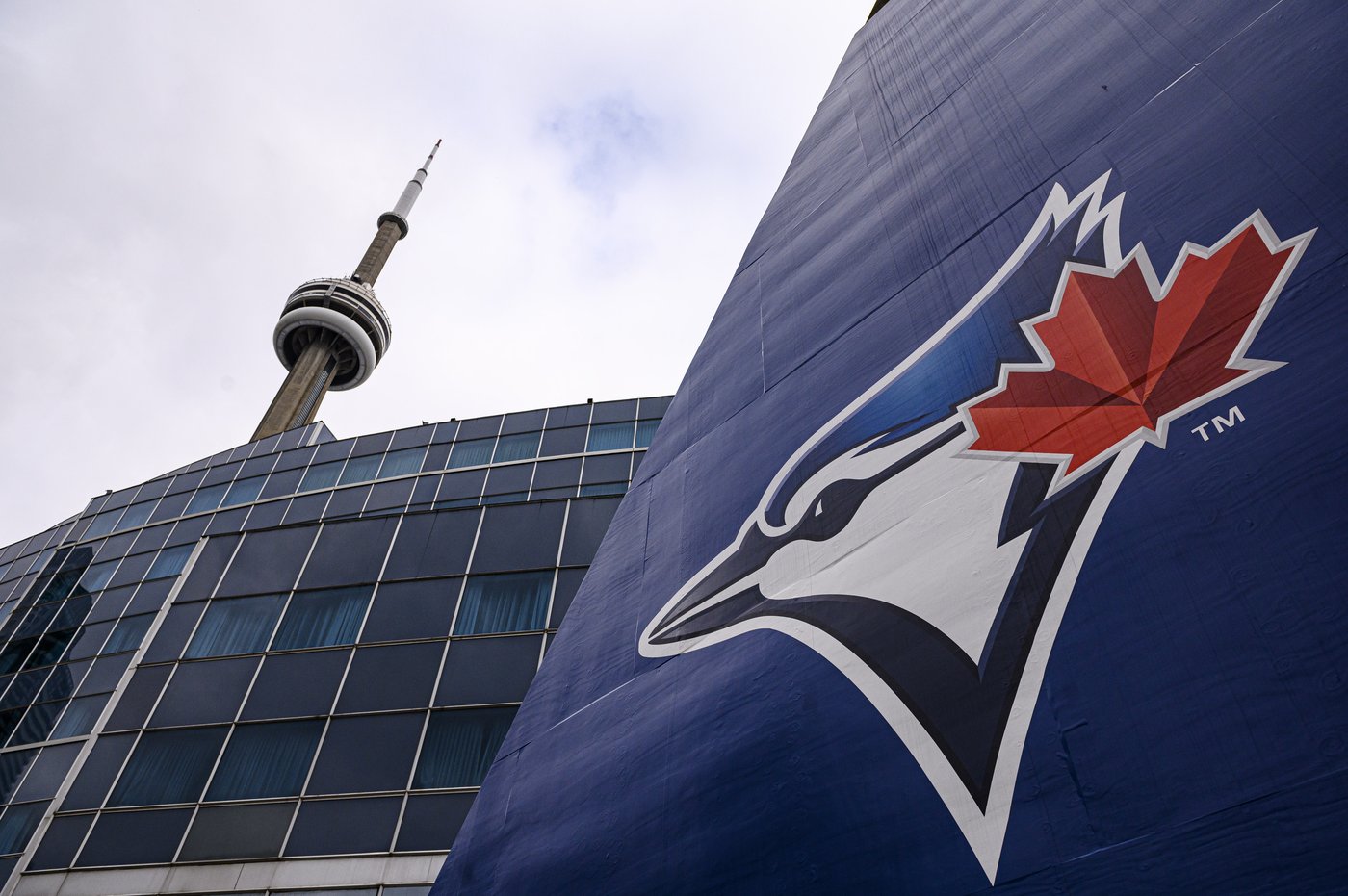 Toronto Blue Jays promote Marc Tramuta to amateur scouting director | iNFOnews.ca